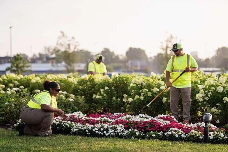Commercial landscaping crew maintaining colorful landscape beds at a business property