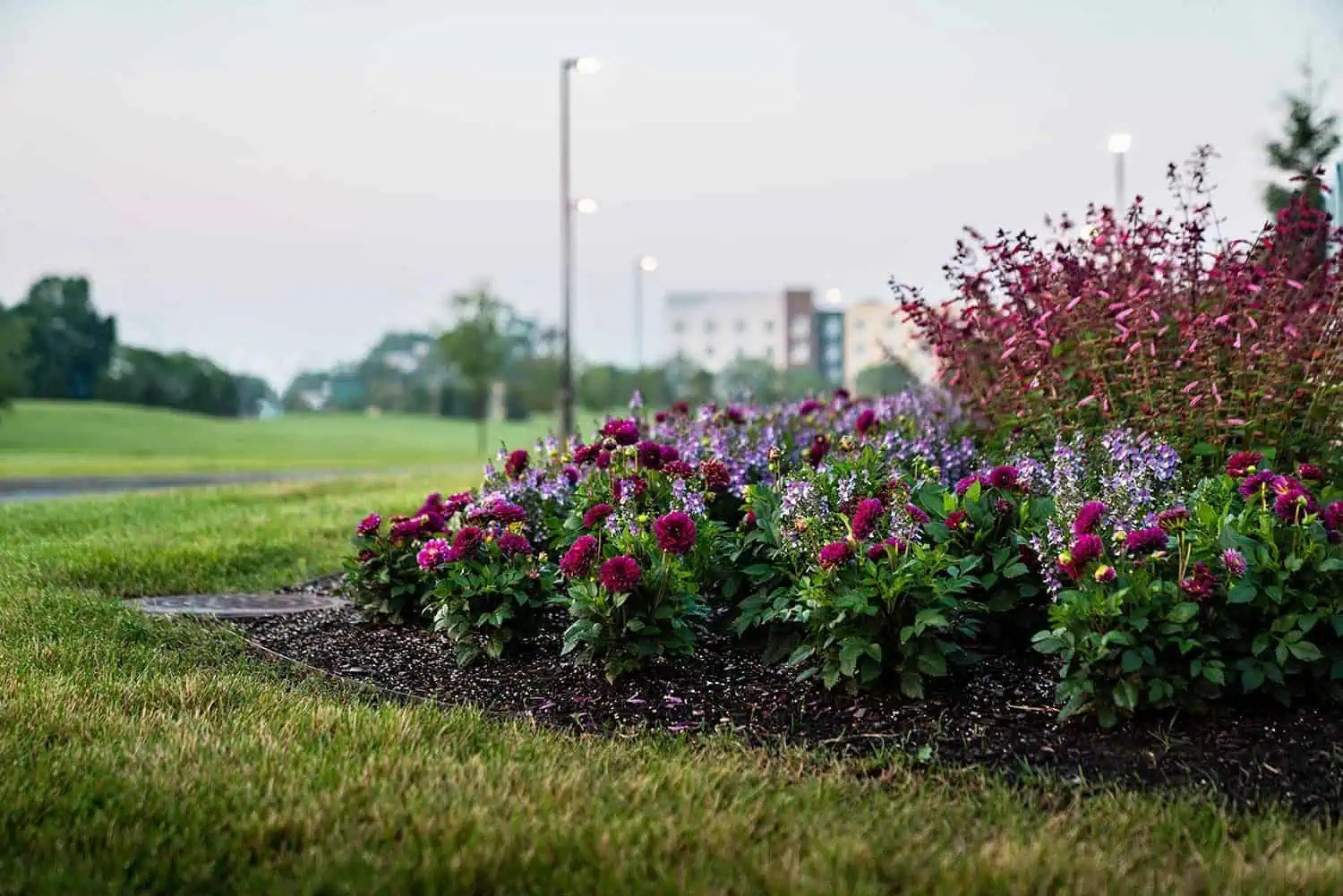 Commercial entrance landscaping with seasonal flowers