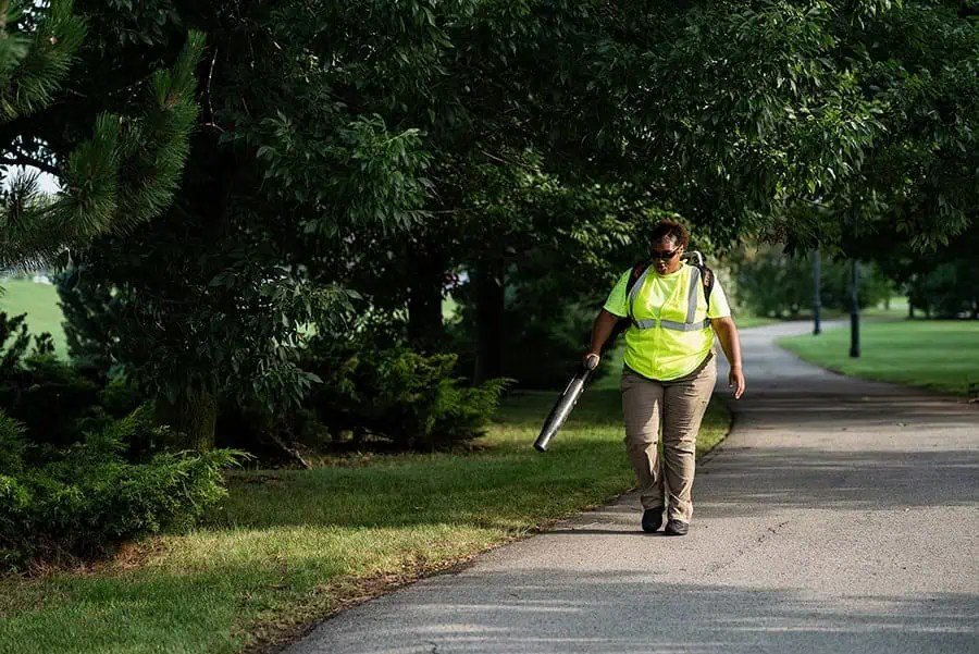 Commercial landscape professional trimming trees on a business property