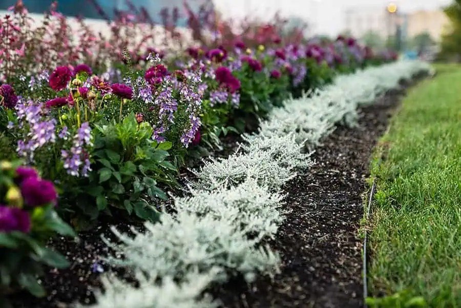Decorative flower beds providing seasonal color for a commercial property
