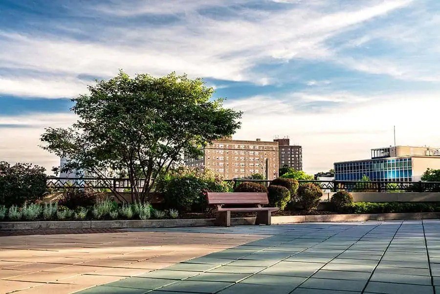 Healthy shade trees surrounding a commercial office building