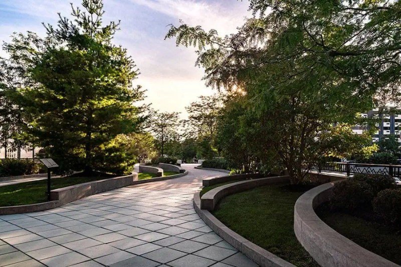 Tree-lined commercial property with professionally maintained landscaping