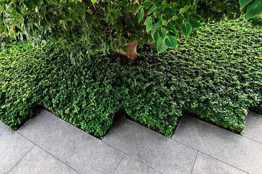 Commercial property with mature trees and professionally maintained landscaping