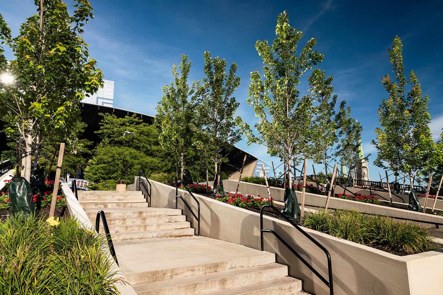 Commercial landscape with healthy trees and attractive plantings